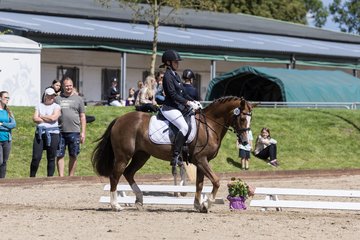 Bild 391 - Pony Akademie Turnier